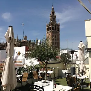 **** Hotel Palacio Alcazar Spain